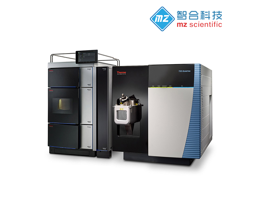 廣州智合科技品牌網(wǎng)站建設(shè)